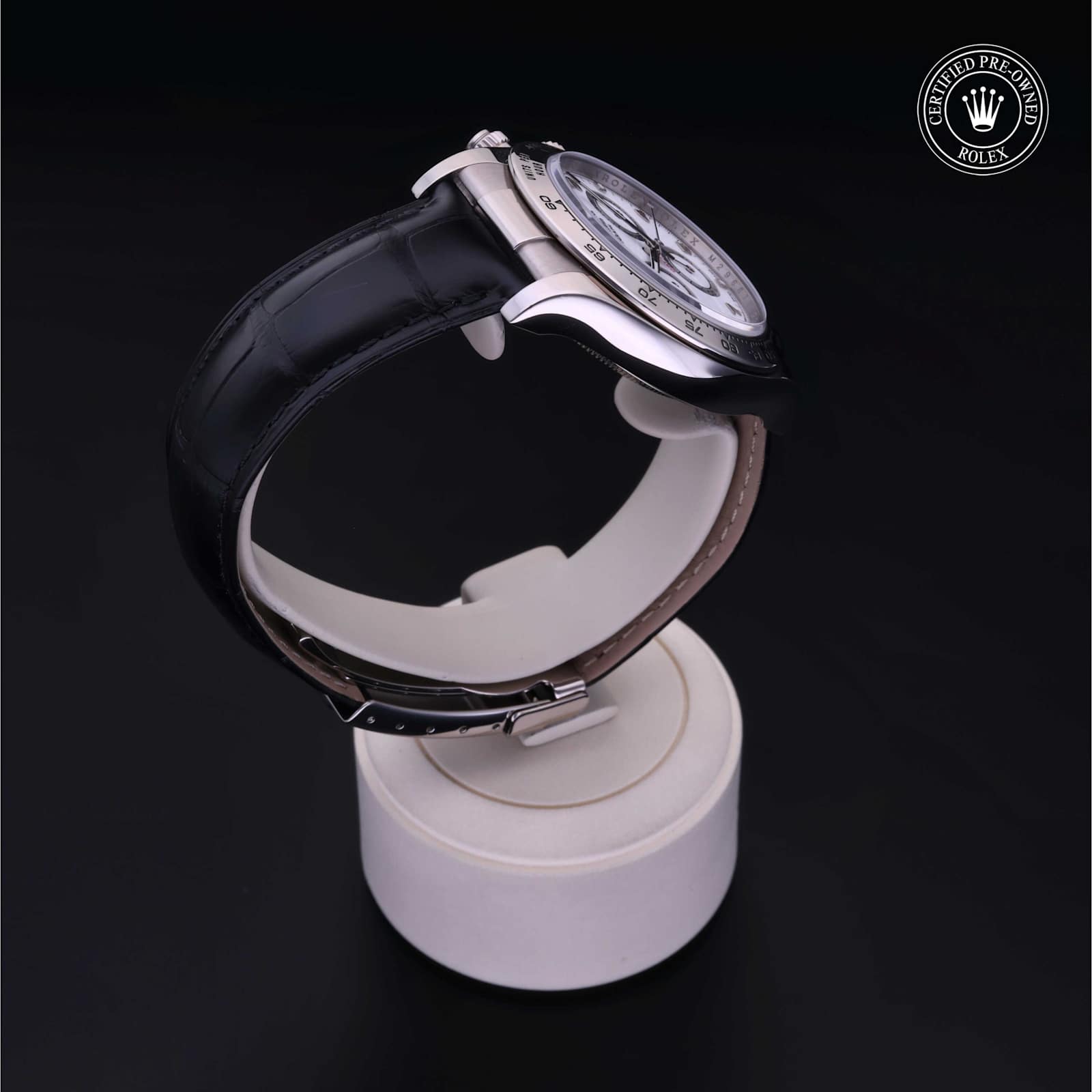 Rolex Cosmograph Daytona in White Gold, 116519 - Bucherer