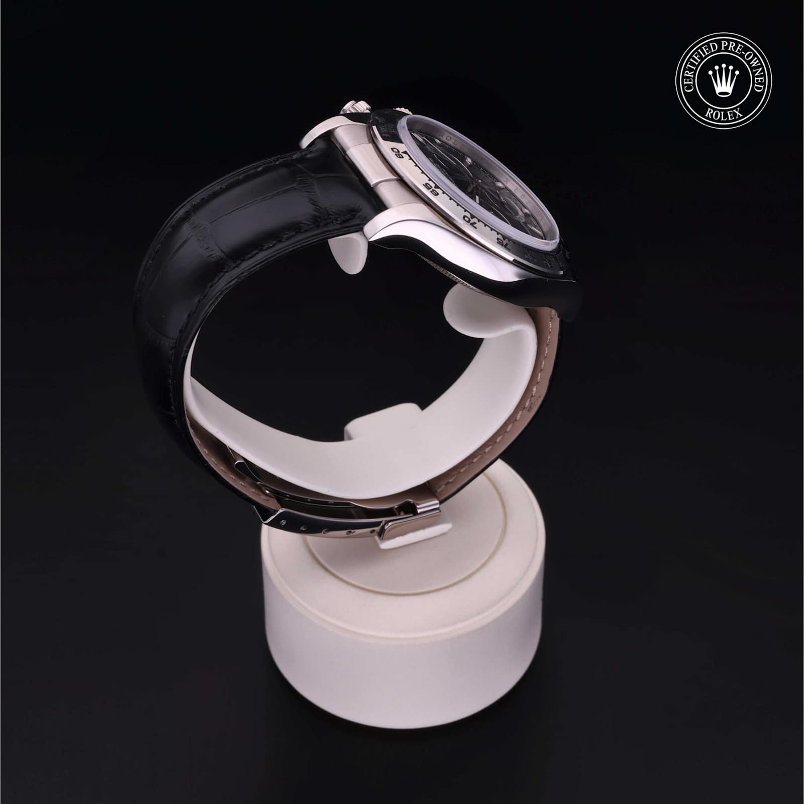 Rolex Cosmograph Daytona in White Gold, 116519 - Bucherer