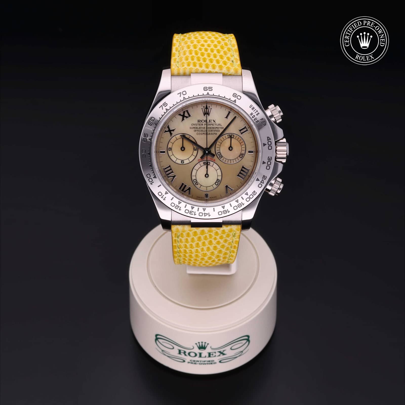 Rolex Cosmograph Daytona in White Gold, 116519 - Bucherer