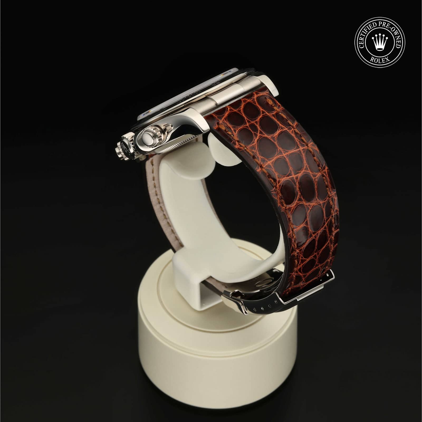 Rolex Cosmograph Daytona in White gold, 116519 - Bucherer