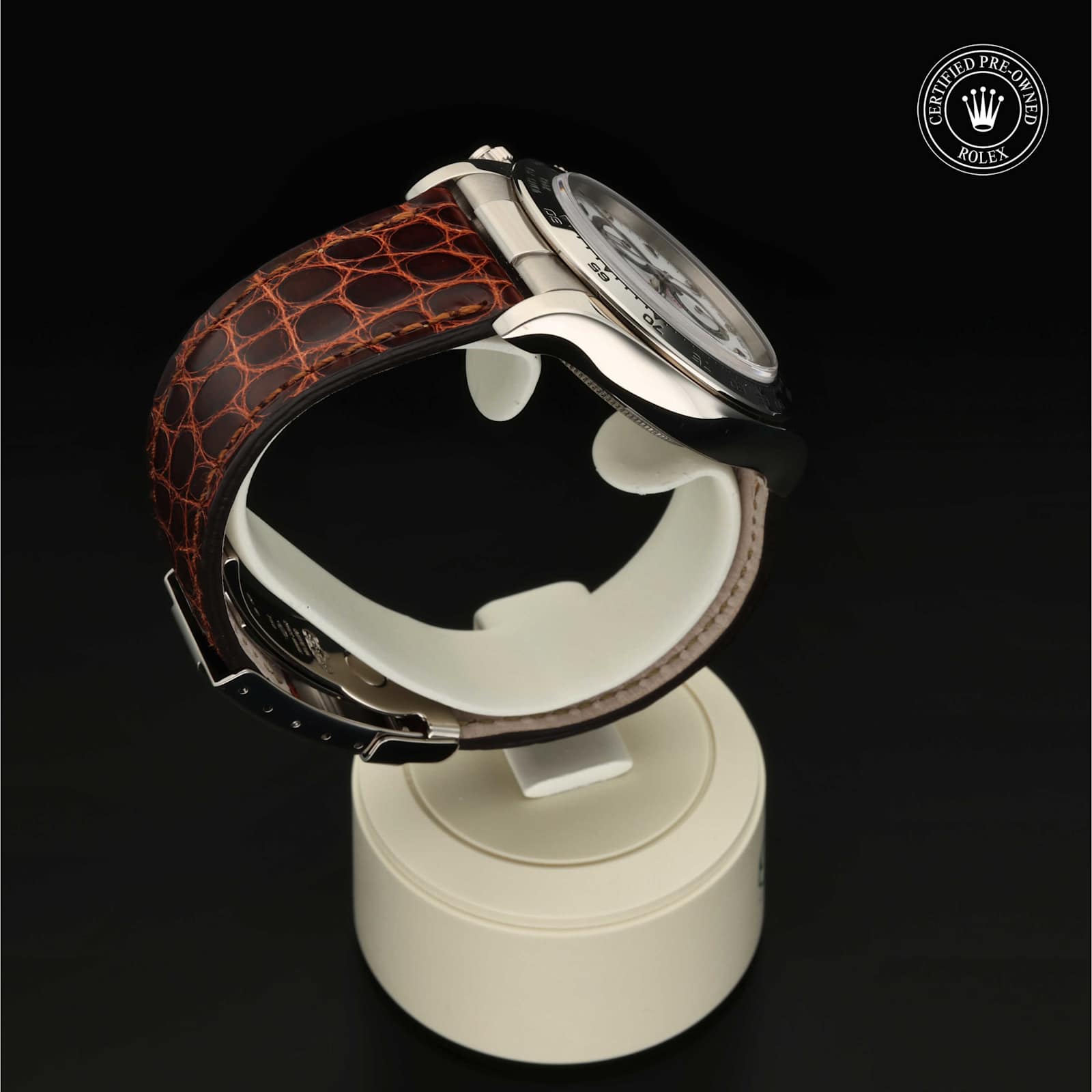 Rolex Cosmograph Daytona in White gold, 116519 - Bucherer