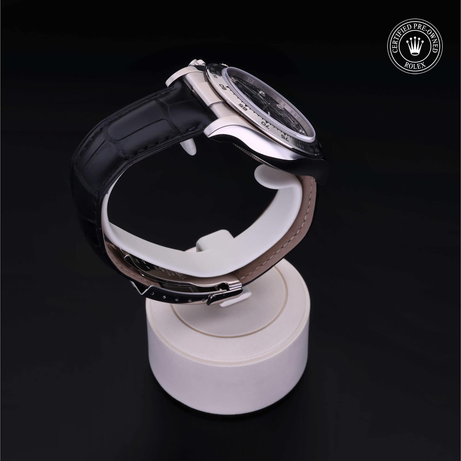 Rolex Cosmograph Daytona in White Gold, 116519 - Bucherer