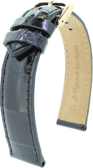 Carl F. Bucherer Alacria in Stainless steel, 00.10701.08.16.01 - Bucherer