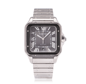Cartier Santos de Cartier in Stahl, WSSA0037 - Bucherer