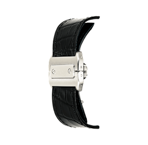 Cartier Santos de Cartier in Steel, W20073X8 - Bucherer