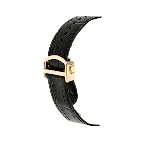Cartier Pasha de Cartier in Yellow Gold, WGPA0007 - Bucherer