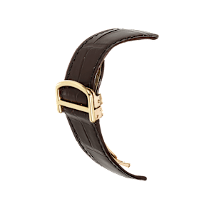 Cartier Pasha de Cartier in Yellow Gold, W3020151 - Bucherer