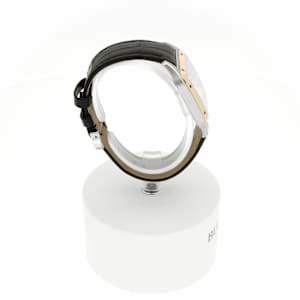 Cartier Santos-Dumont in Bicolor, W2SA0011 - Bucherer