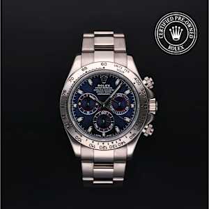 Rolex Cosmograph Daytona in White Gold, 116509 - Bucherer