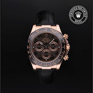 Rolex Cosmograph Daytona in Rose Gold, 116515 - Bucherer