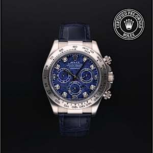 Rolex Cosmograph Daytona in , 116519 - Bucherer