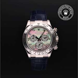Rolex Cosmograph Daytona in , 116519 - Bucherer