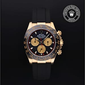 Rolex Cosmograph Daytona in Yellow Gold, 116518LN - Bucherer