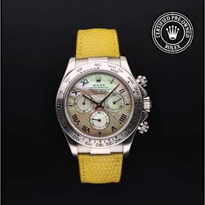Rolex Cosmograph Daytona en Or Blanc, 116519 - Bucherer