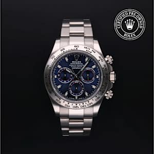 Rolex Cosmograph Daytona in White Gold, 116509 - Bucherer