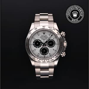 Rolex Cosmograph Daytona in White Gold, 116509 - Bucherer