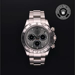 Rolex Cosmograph Daytona in White gold, 116509 - Bucherer