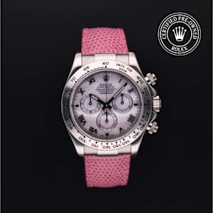 Rolex Cosmograph Daytona in Weissgold, 116519 - Bucherer