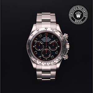 Rolex Cosmograph Daytona in White Gold, 116509 - Bucherer