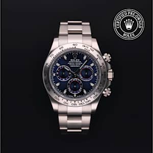 Rolex Cosmograph Daytona in White gold, 116509 - Bucherer