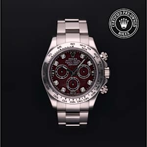 Rolex Cosmograph Daytona in White Gold, 116509 - Bucherer