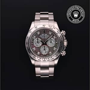 Rolex Cosmograph Daytona in White Gold, 116509 - Bucherer