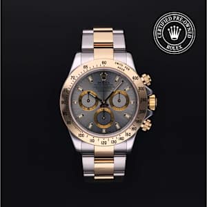 Rolex Cosmograph Daytona in Bicolour, 116523 - Bucherer