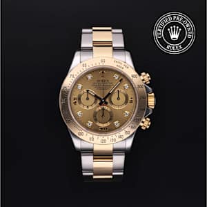 Rolex Cosmograph Daytona in Bicolour, 116523 - Bucherer