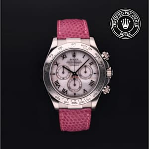 Rolex Cosmograph Daytona in White Gold, 116519 - Bucherer