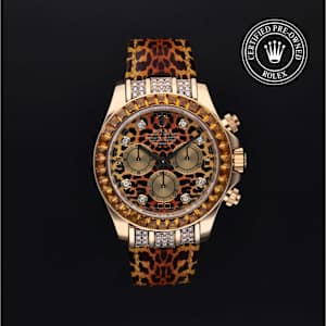 Rolex Cosmograph Daytona in Yellow Gold, 116598SACO - Bucherer