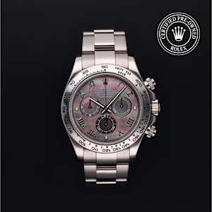 Rolex Cosmograph Daytona in White Gold, 116509 - Bucherer