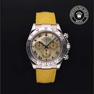Rolex Cosmograph Daytona in White Gold, 116519 - Bucherer