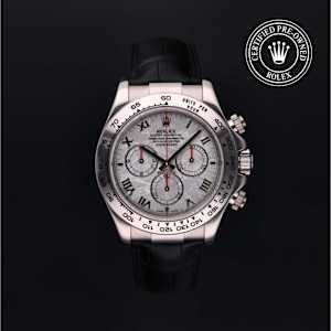Rolex Cosmograph Daytona in White Gold, 116519 - Bucherer