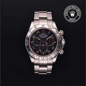 Rolex Cosmograph Daytona en Or Blanc, 116509 - Bucherer