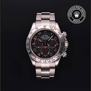 Rolex Cosmograph Daytona in White Gold, 116509 - Bucherer
