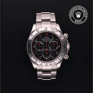 Rolex Cosmograph Daytona in White Gold, 116509 - Bucherer