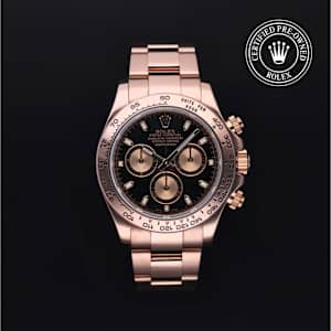 Rolex Cosmograph Daytona in Rose Gold, 116505 - Bucherer