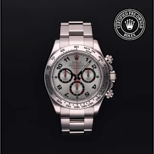 Rolex Cosmograph Daytona in White Gold, 116509 - Bucherer