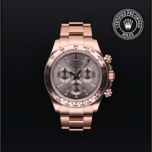Rolex Cosmograph Daytona in Rose Gold, 116505 - Bucherer