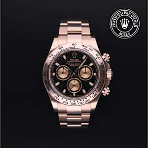 Rolex Cosmograph Daytona in Rose Gold, 116505 - Bucherer