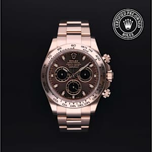 Rolex Cosmograph Daytona in Rose Gold, 116505 - Bucherer