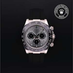 Rolex Cosmograph Daytona in White Gold, 116519 - Bucherer