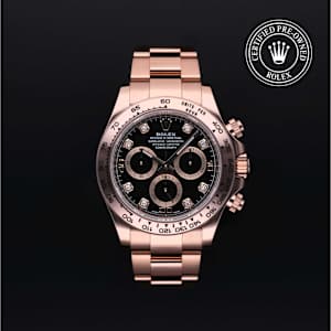 Rolex Cosmograph Daytona in Rose Gold, 116505 - Bucherer