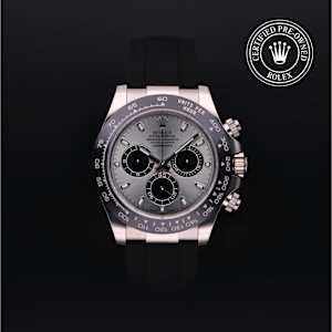 Rolex Cosmograph Daytona in White Gold, 116519 - Bucherer
