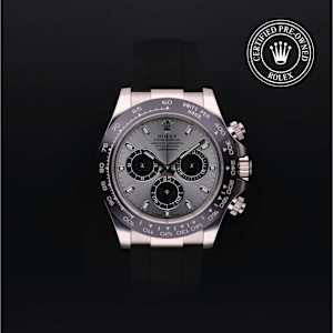 Rolex Cosmograph Daytona in White Gold, 116519 - Bucherer