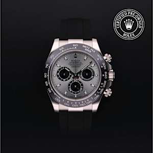 Rolex Cosmograph Daytona in White Gold, 116519 - Bucherer