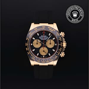 Rolex Cosmograph Daytona in Yellow Gold, 116518 - Bucherer