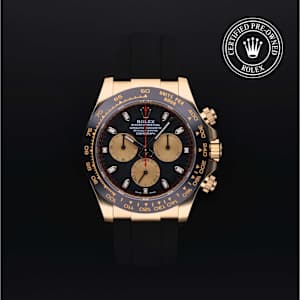 Rolex Cosmograph Daytona in Yellow Gold, 116518 - Bucherer