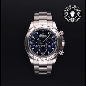 Rolex Cosmograph Daytona in White Gold, 116509 - Bucherer