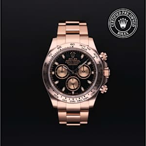 Rolex Cosmograph Daytona in Rose Gold, 116505 - Bucherer